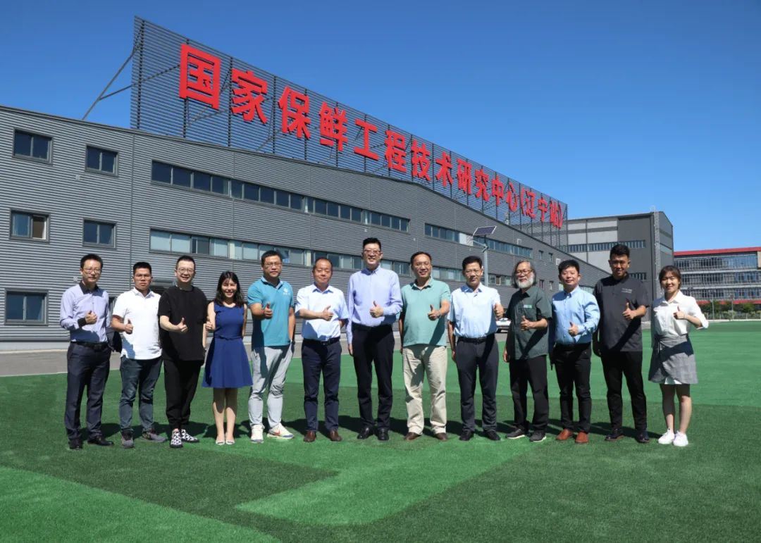 Keskity brändin rakentamiseen Liaoning Dongsheng Technology Group Co., Ltd. v...